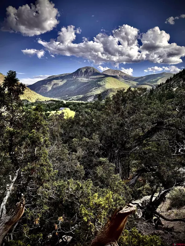 933 Bluff Street, Lake City, CO 81235