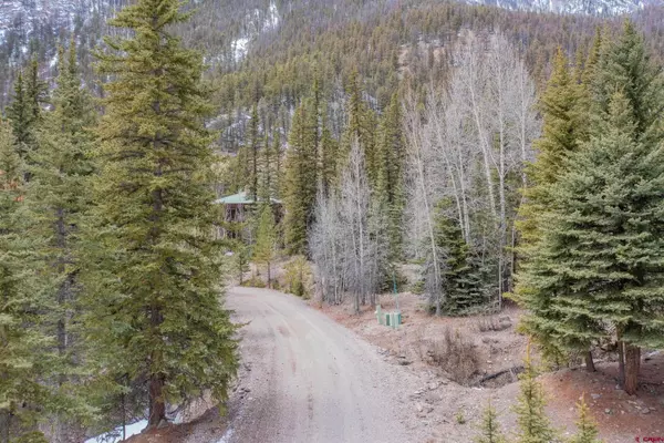 2743 Silver Coin Lane, Lake City, CO 81235