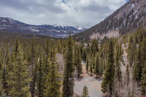 2743 Silver Coin Lane, Lake City, CO 81235