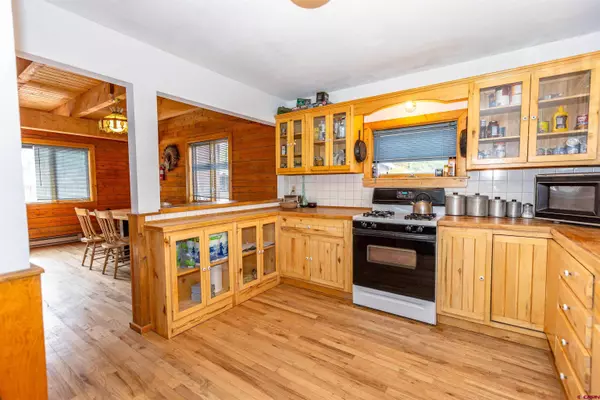 519 Hotchkiss Street, Lake City, CO 81235