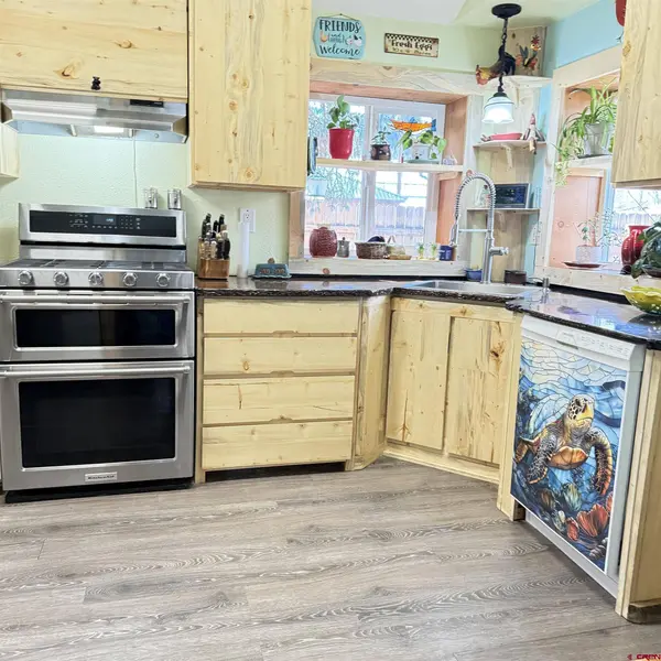 701 N Gunnison Ave, Lake City, CO 81235