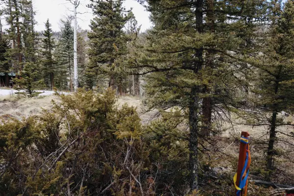 TBD Cochetopa Trail, Powderhorn, CO 81243