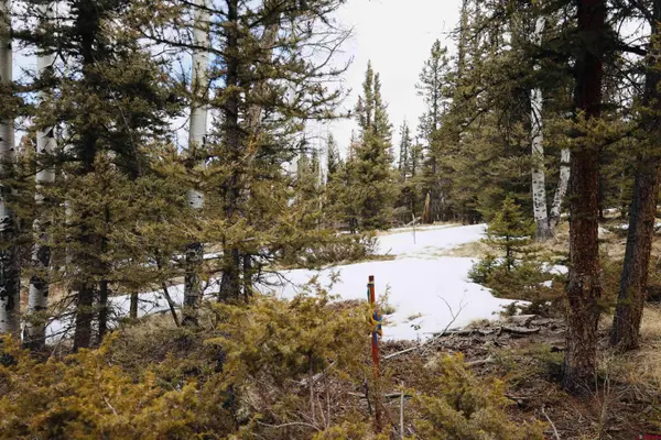 TBD Cochetopa Trail, Powderhorn, CO 81243