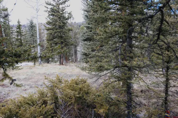 TBD Cochetopa Trail, Powderhorn, CO 81243