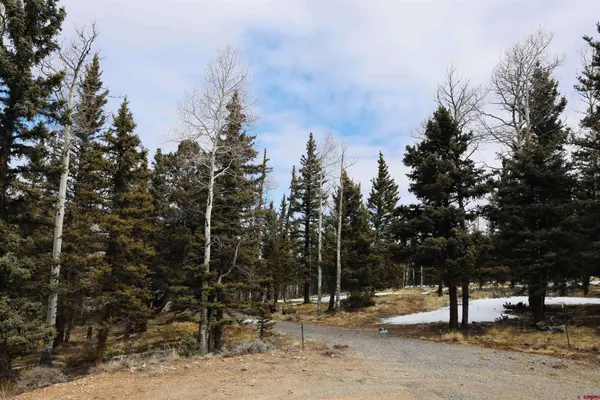 TBD Cochetopa Trail, Powderhorn, CO 81243