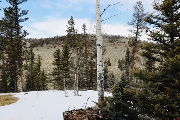 TBD Cochetopa Trail, Powderhorn, CO 81243