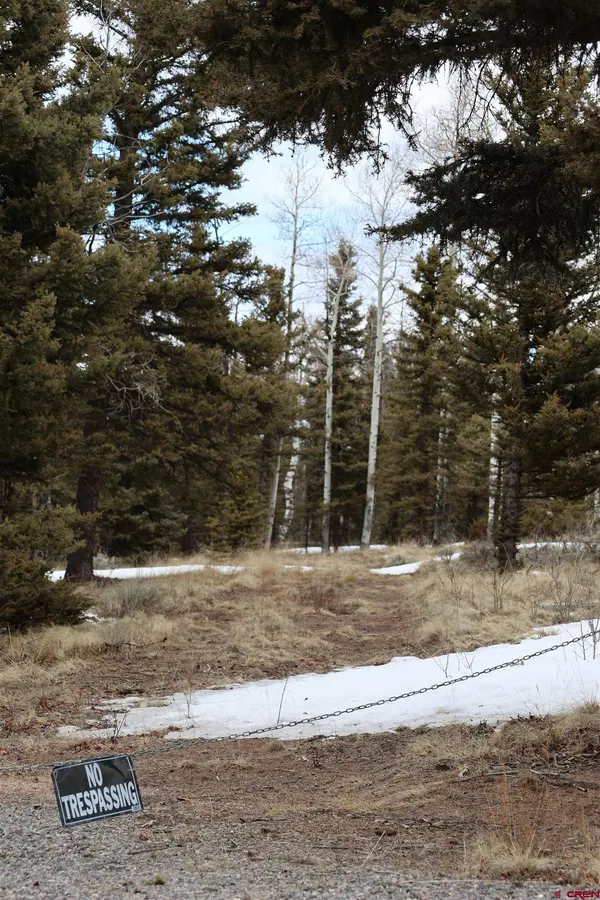 TBD Cochetopa Trail, Powderhorn, CO 81243