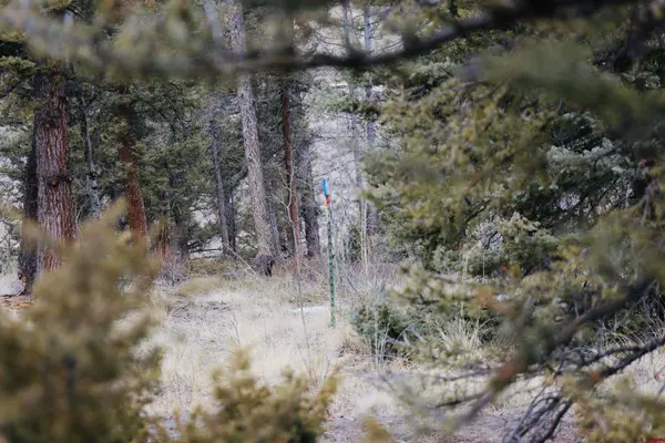 TBD Cochetopa Trail, Powderhorn, CO 81243