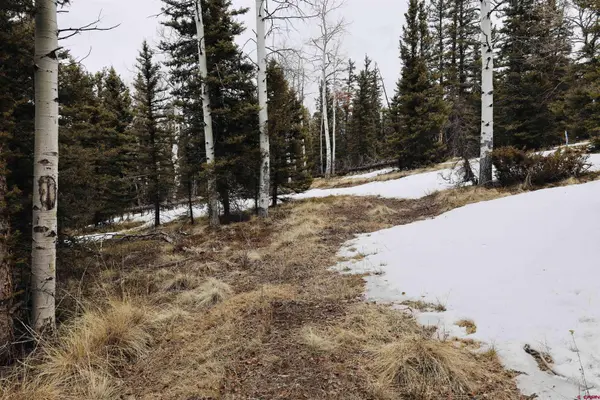 TBD Cochetopa Trail, Powderhorn, CO 81243