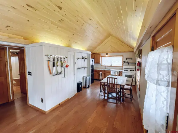 809 Silver St, Lake City, CO 81235