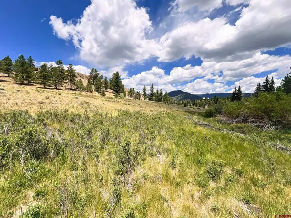 356 Church Creek Drive, South Fork, CO 81154