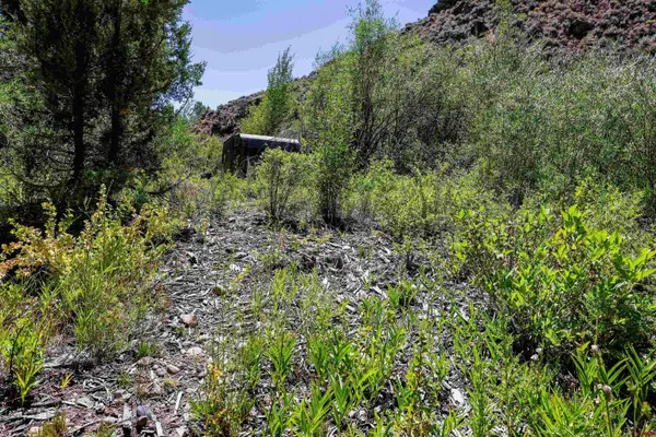 TBD County Road 16, Gunnison, CO 81230