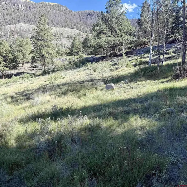 502 Hotchkiss Street, Lake City, CO 81235