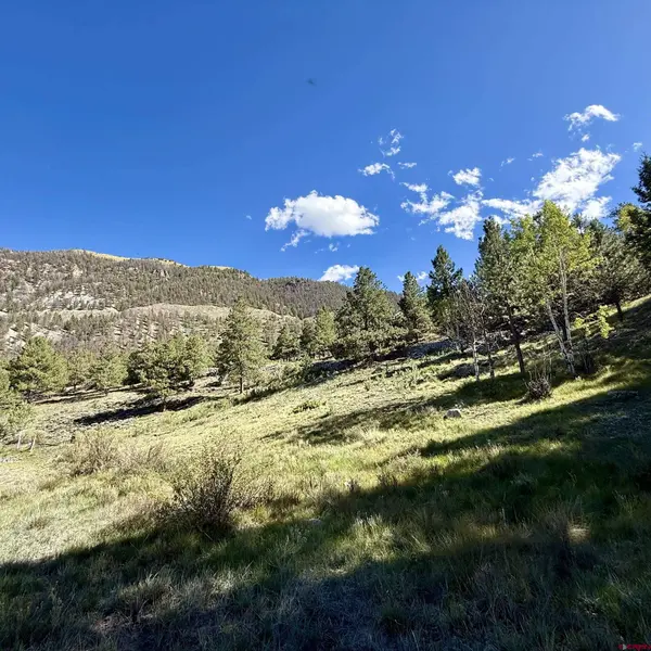 502 Hotchkiss Street, Lake City, CO 81235