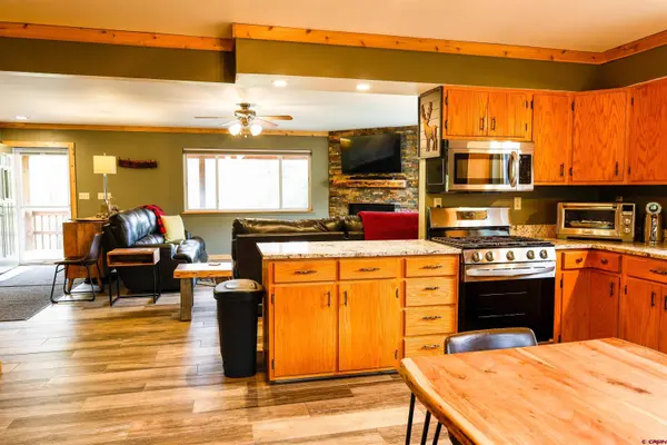 67696 Elk Trail, Sargents, CO 81248