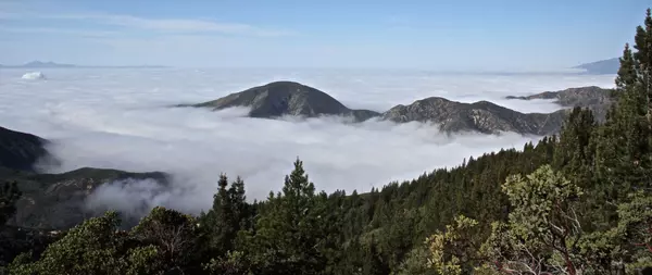 Lake Arrowhead vs. Big Bear: Is a Mountain Home a Smart Investment?,Theresa Grant