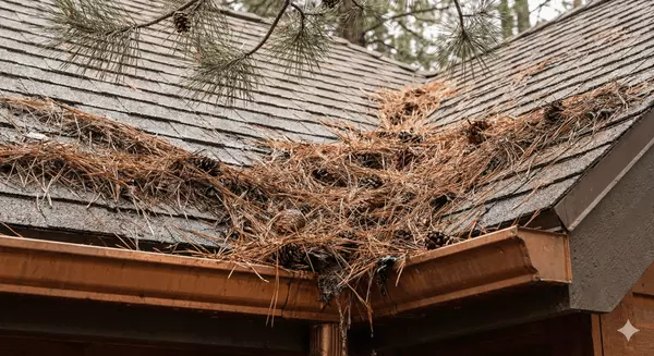 How Often Should You Clear Snow or Pine Needles From Your Mountain Roof?