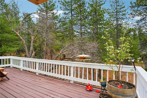 32807 Deer Lick DR, Running Springs, CA 92382