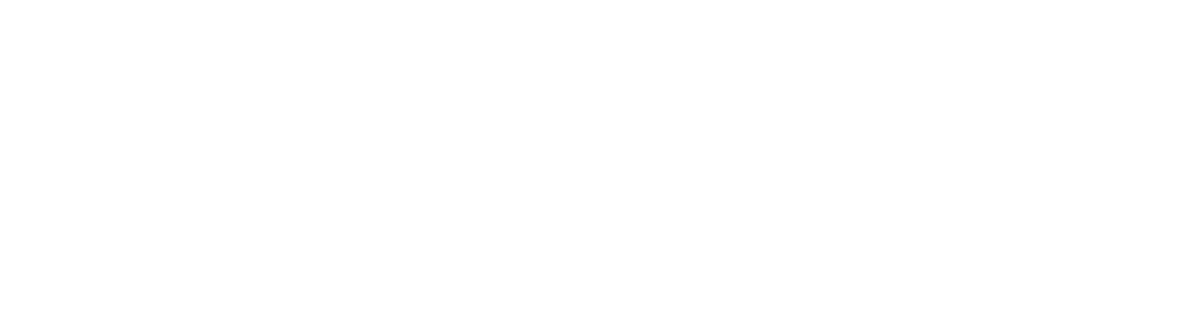 White Compass Logo
