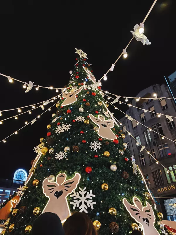 December Home Maintenance Checklist & Local Events in Acworth, GA