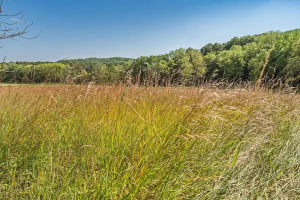 35.42 Acres Fox River Road, Portage, WI 53901-0000