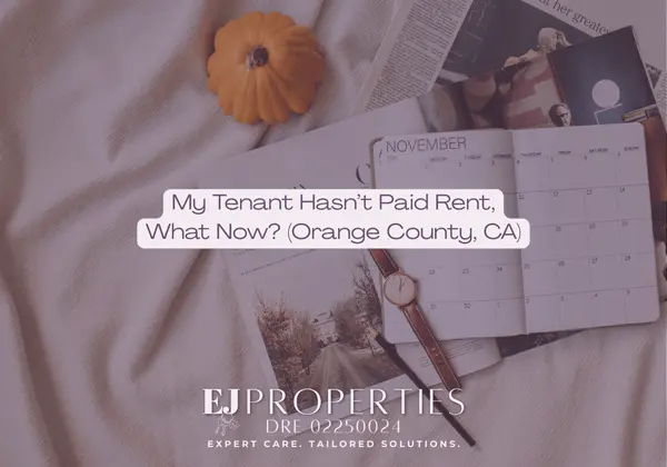 My Tenant Hasn’t Paid Rent, What Now? (Orange County, CA),Elyssa Jones