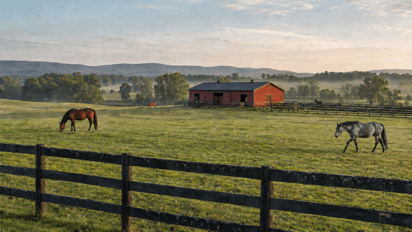 Vineyards and countryside in Fauquier County, Virginia