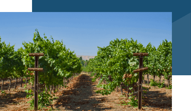 Sedona red rock landscape