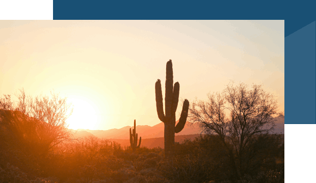 Sedona red rock landscape