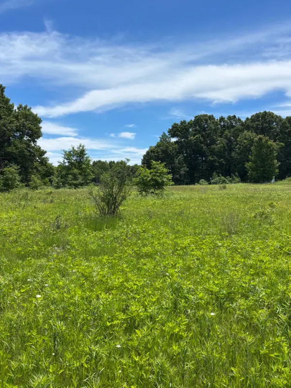 5 Things I Look For First When Walking a Property