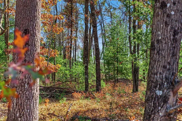 00 CRESCENT ROAD, Warrens, WI 54666