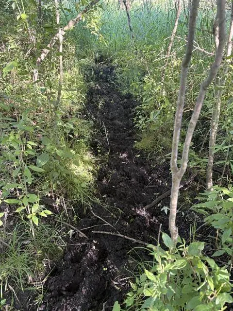 Pinch Highway, Potterville, MI 48876