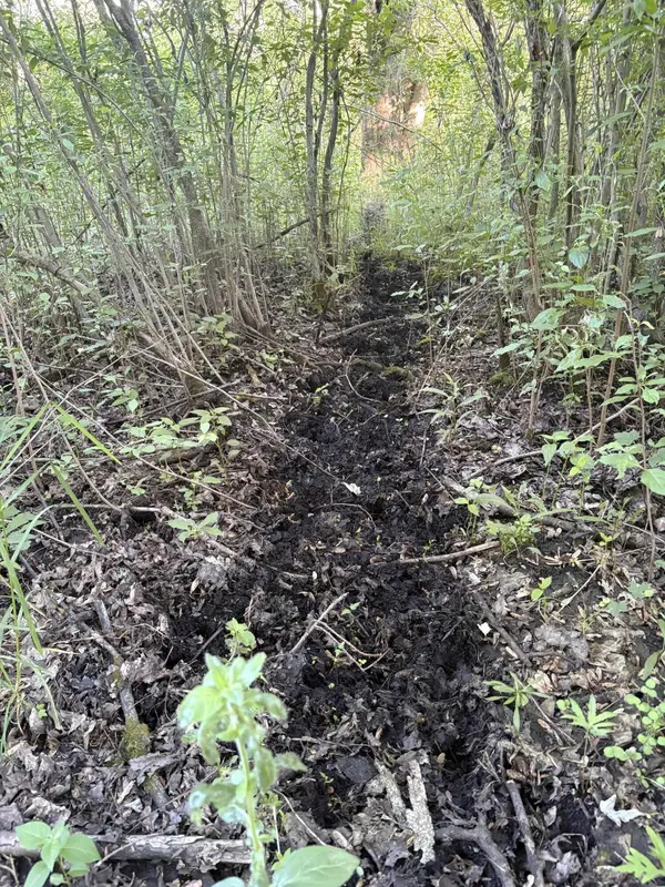 Pinch Highway, Potterville, MI 48876