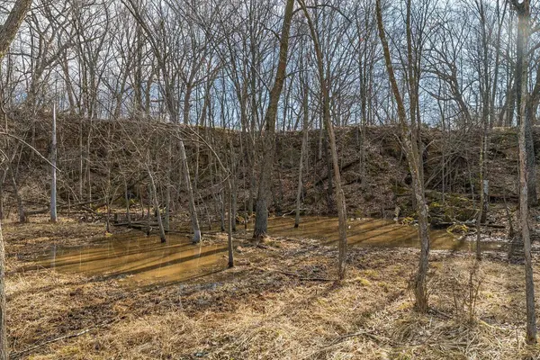 15815 Syresville Lane, Richland Center, WI 53581