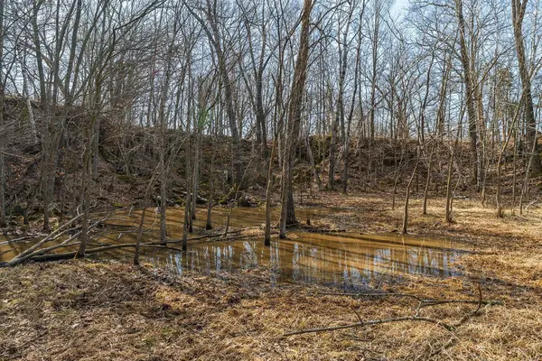 000 Syresville Lane, Richland Center, WI 53581