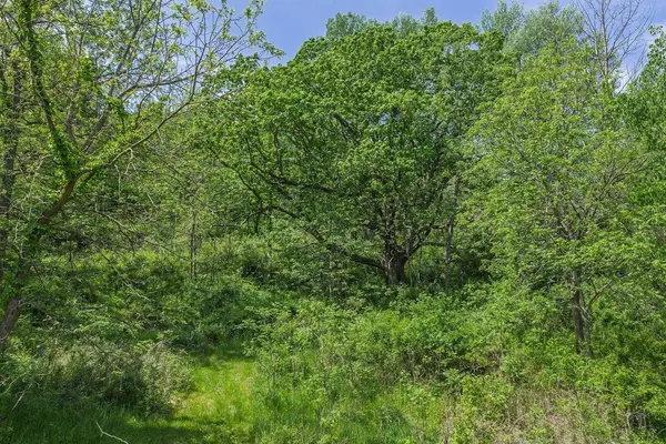 Dog Hollow Road, Cazenovia, WI 53924