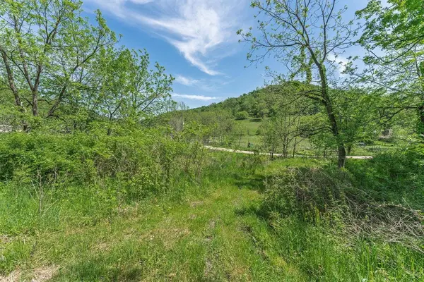 Dog Hollow Road, Cazenovia, WI 53924