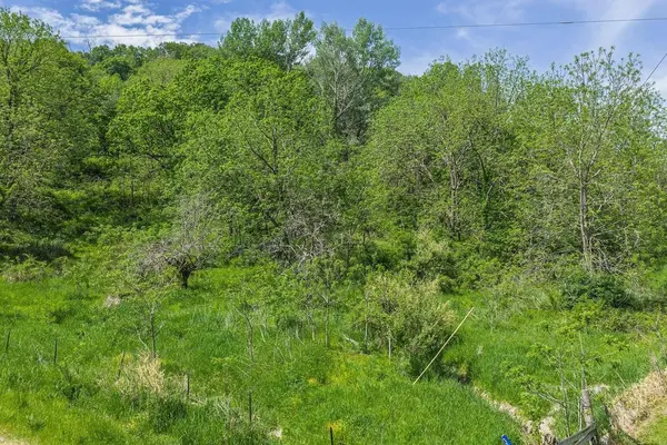 Dog Hollow Road, Cazenovia, WI 53924