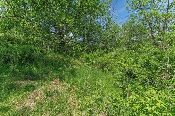 Dog Hollow Road, Cazenovia, WI 53924