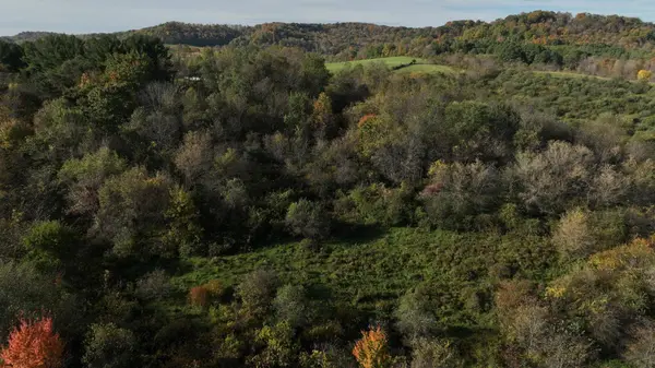 0000 CTH DD Road, Richland Center, WI 53581