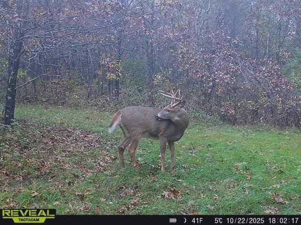 1565 STATE HIGHWAY 71 -, Little Falls, WI 54656