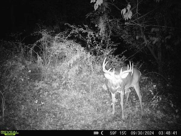 Lot 3 Lucky Ln, Seneca, WI 54626