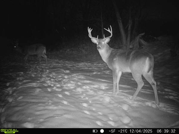 14096 Turben Ridge Rd, Clayton, WI 54655