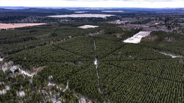 000 Cambridge Rd, Little Falls, WI 54656