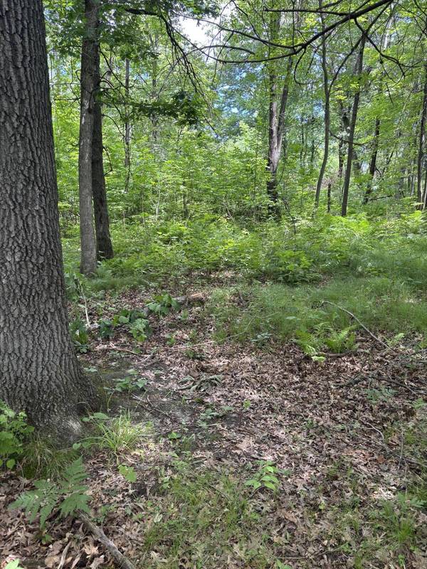0 Grapevine Ave, Tomah, WI 54660