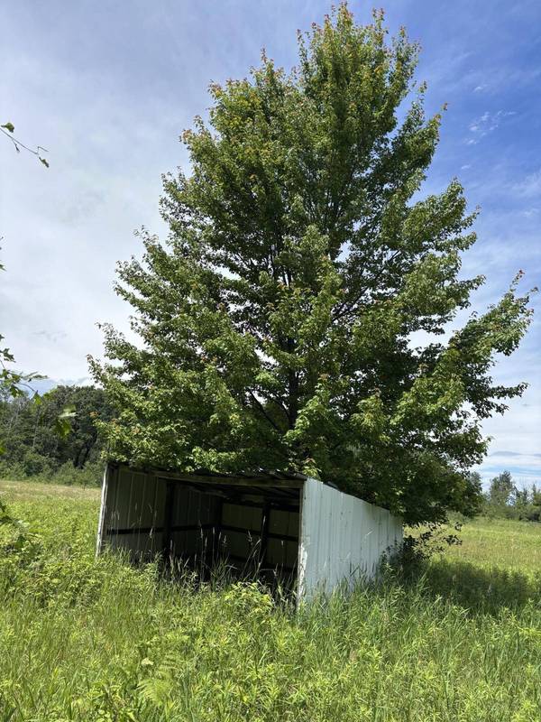 0 Grapevine Ave, Tomah, WI 54660