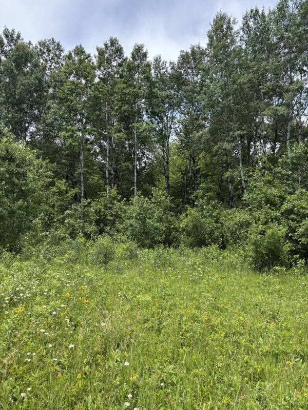 0 Grapevine Ave, Tomah, WI 54660