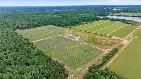 4085 N Cranberry Rd, Bear Bluff, WI 54666