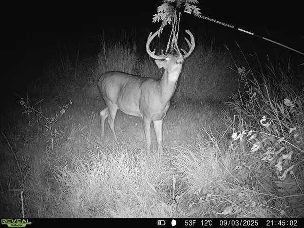 44+/- Acres 14th Road, Montello, WI 53949