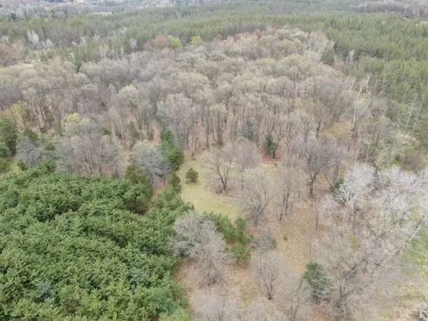 88+/- AC Dakota Ave Acres, Neshkoro, WI 54960